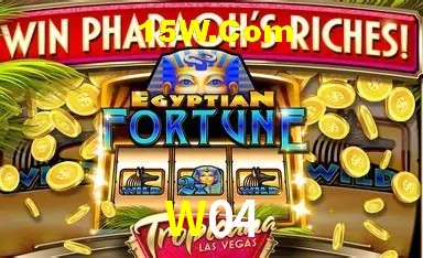 Experiência VIP W04